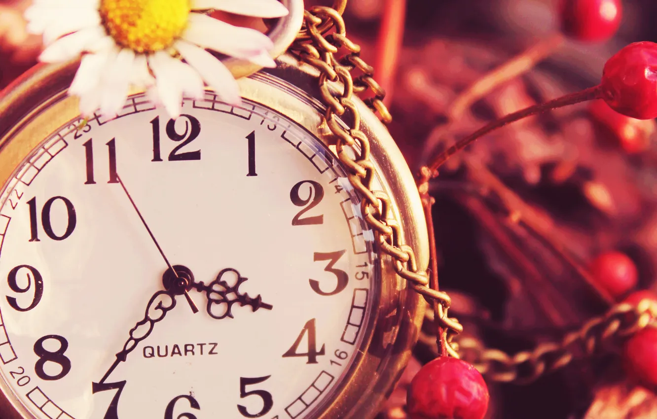 Photo wallpaper watch, chamomile, vintage