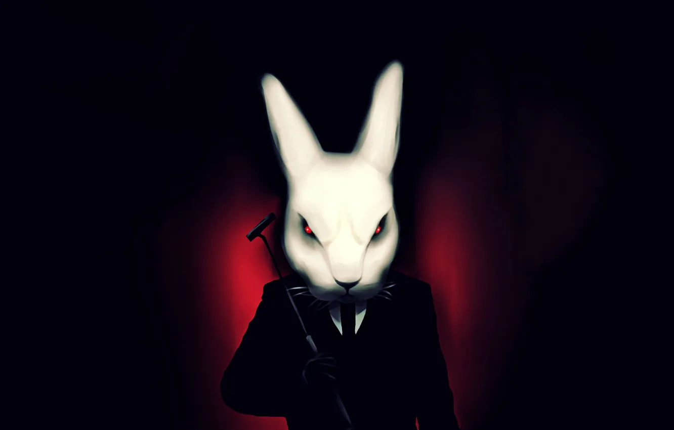 Photo wallpaper Rabbit, Bunny, bad rabbit, bad bunny, mean rabbit