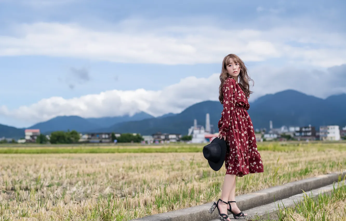 Photo wallpaper field, girl, the city