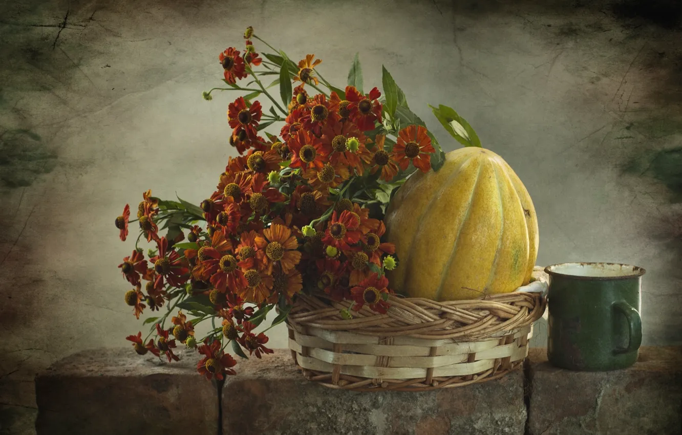 Photo wallpaper melon, mug, Gaylardiya