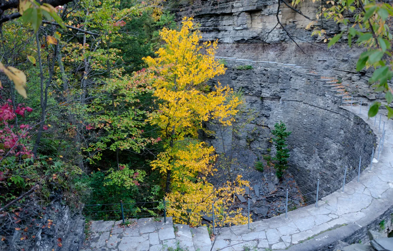 Photo wallpaper Autumn, Rocks, USA, USA, Fall, Autumn, Colors, Ithaca