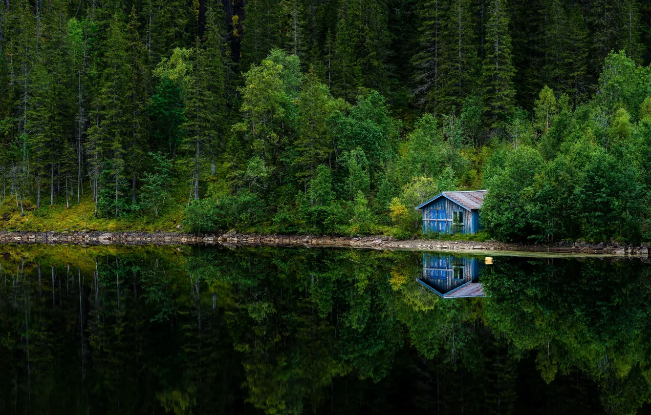 Photo wallpaper greens, forest, summer, lake, reflection, shore, house, pond
