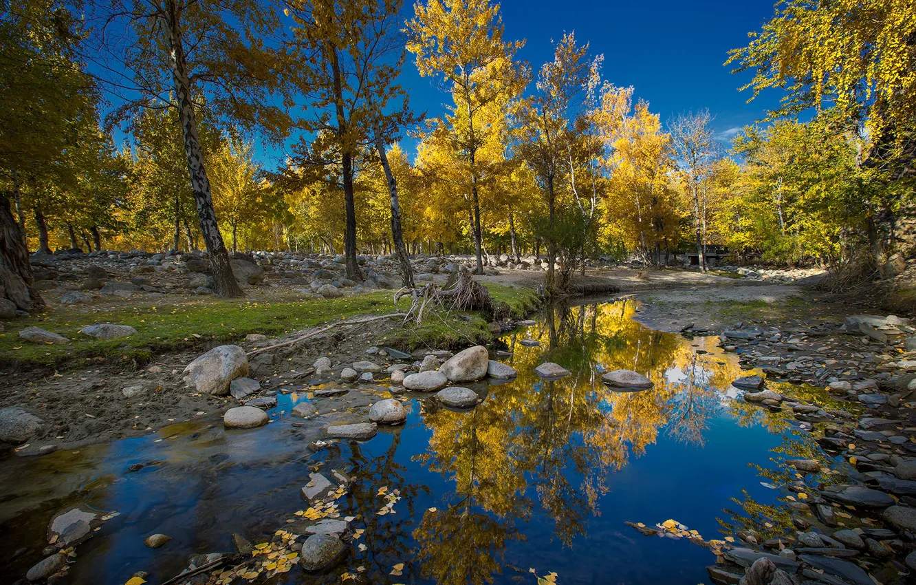 Photo wallpaper autumn, the sky, trees, stream, stones