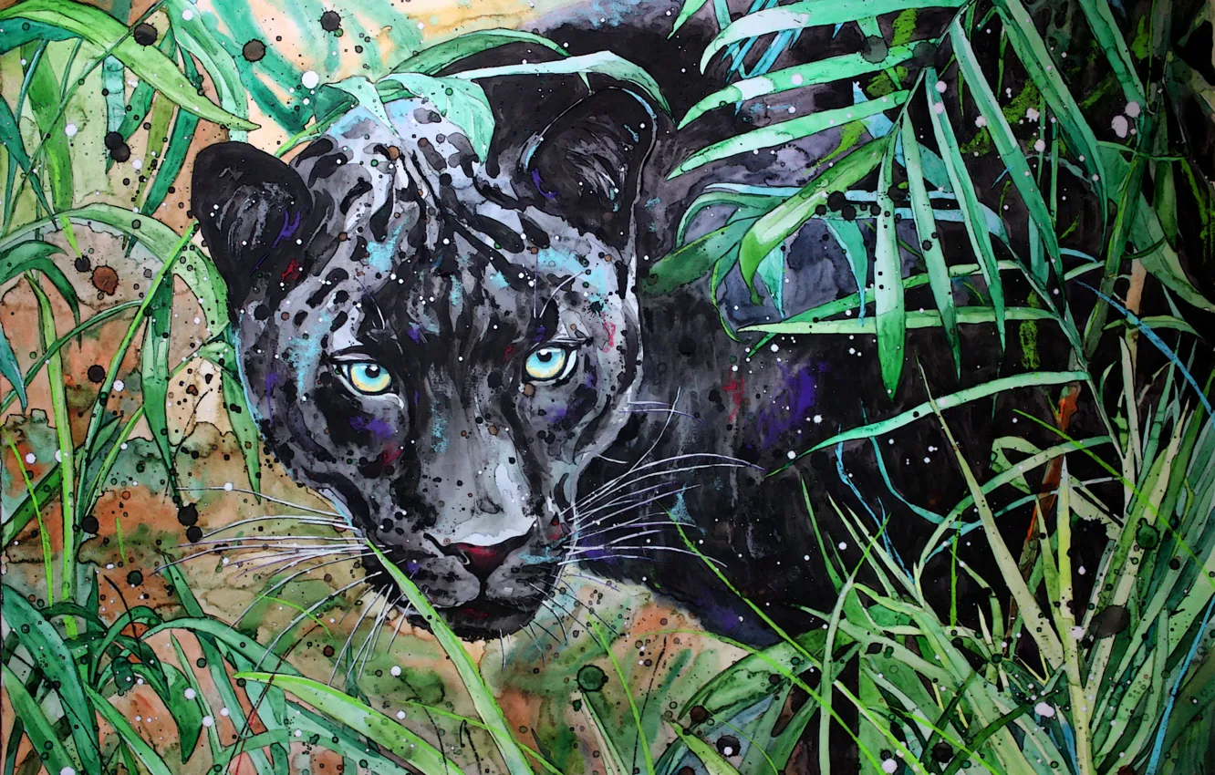 Photo wallpaper eyes, face, nature, Panther