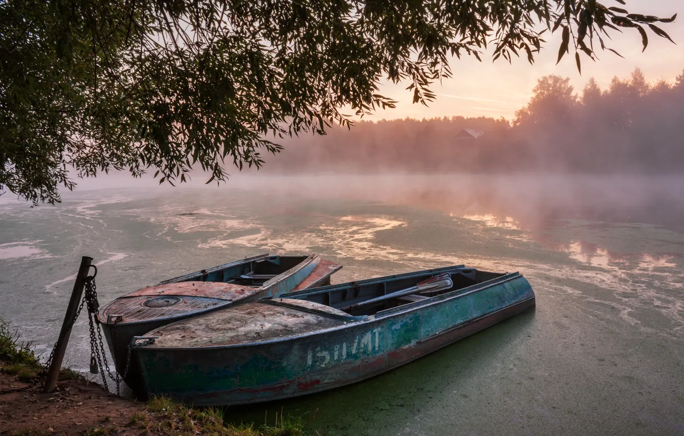 Photo wallpaper landscape, branches, nature, fog, river, dawn, boats, morning