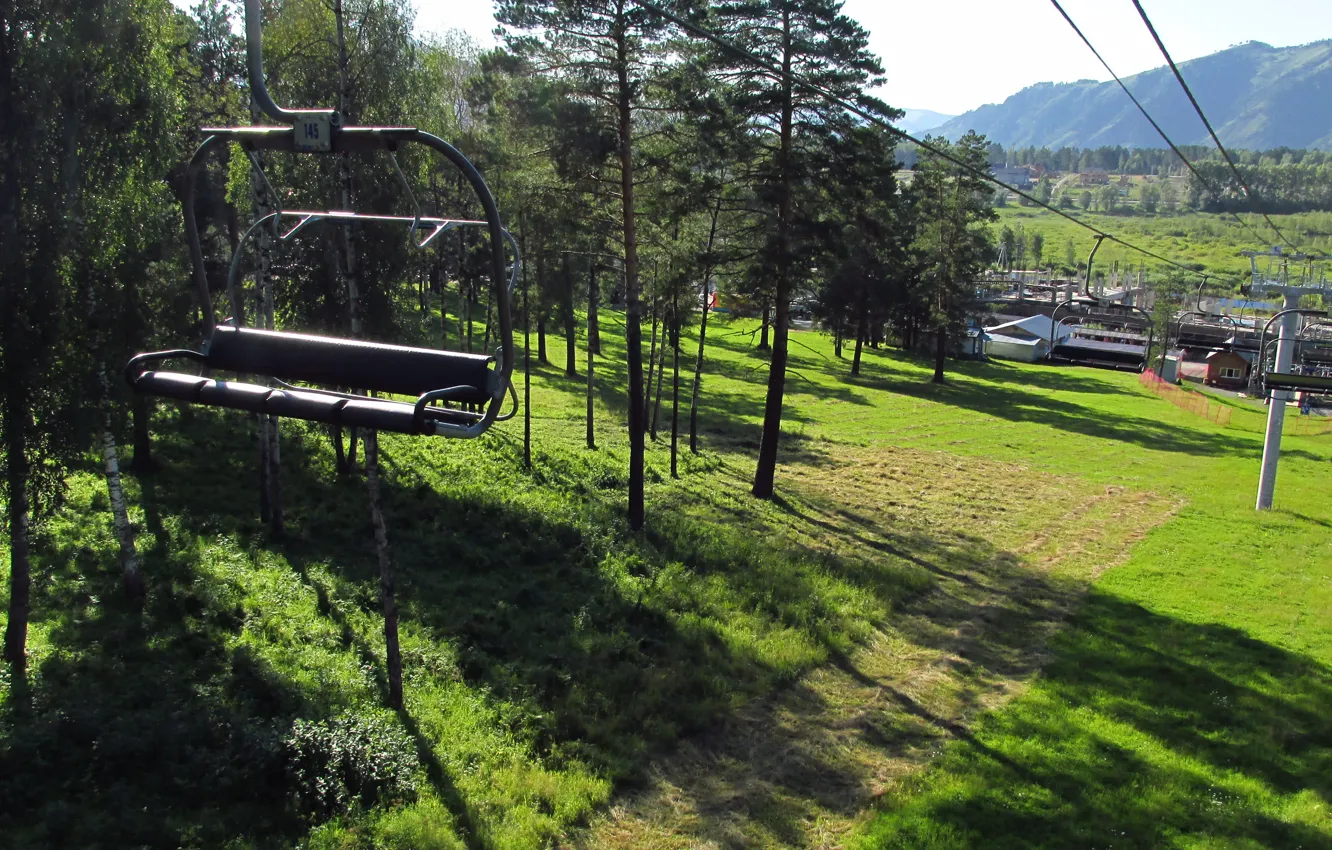 Photo wallpaper greens, mountains, shadow, pine, lift