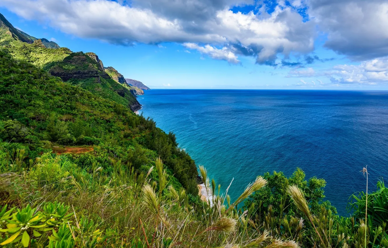 Photo wallpaper water, nature, rocks