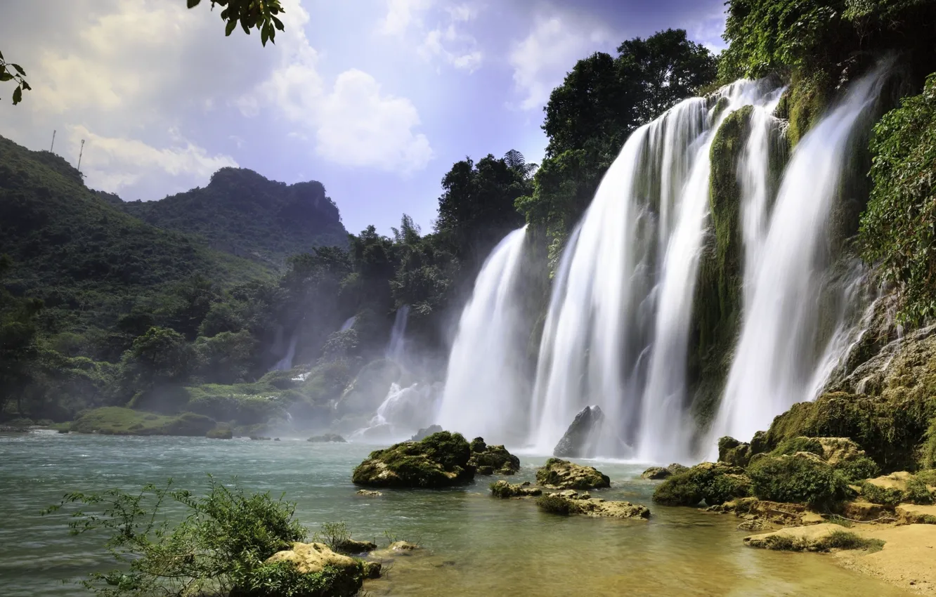 Photo wallpaper greens, forest, stones, shore, tops, waterfall, pond, shrub