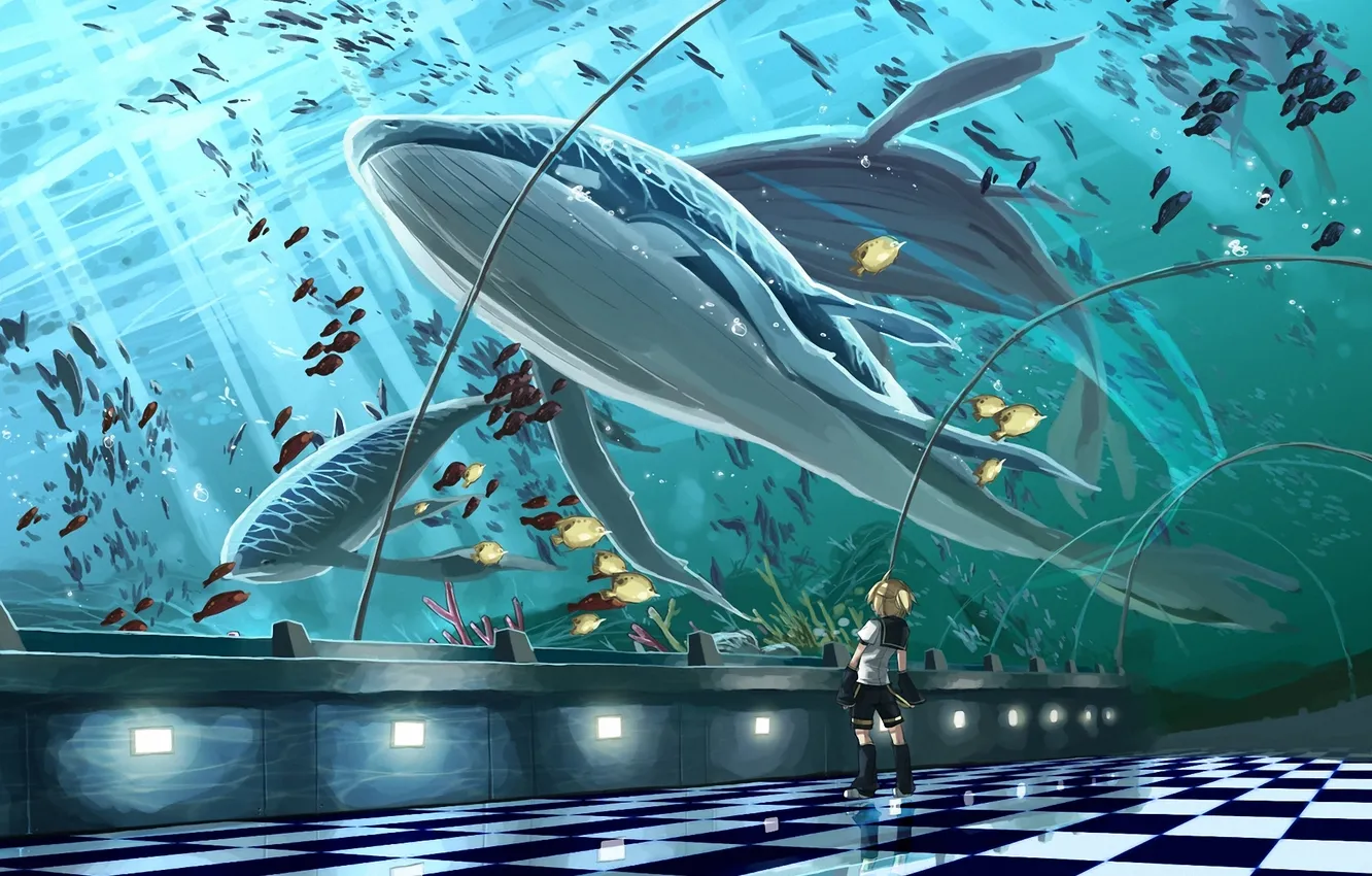 Photo wallpaper fish, art, kit, guy, vocaloid, kagamine len, scorpion5050, aquarium