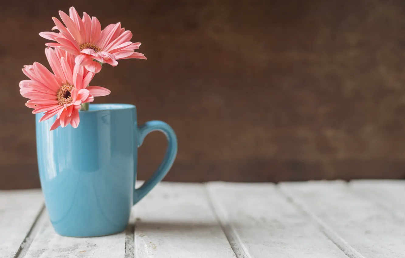 Photo wallpaper flowers, Cup, gerbera, wooden table, blue Cup