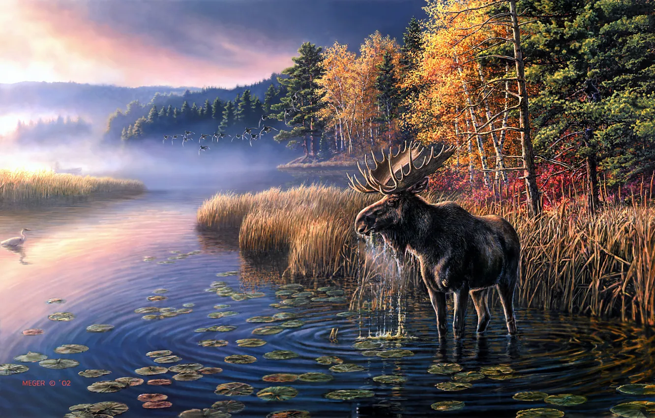 Photo wallpaper autumn, forest, the sky, leaves, trees, fog, lake, pond