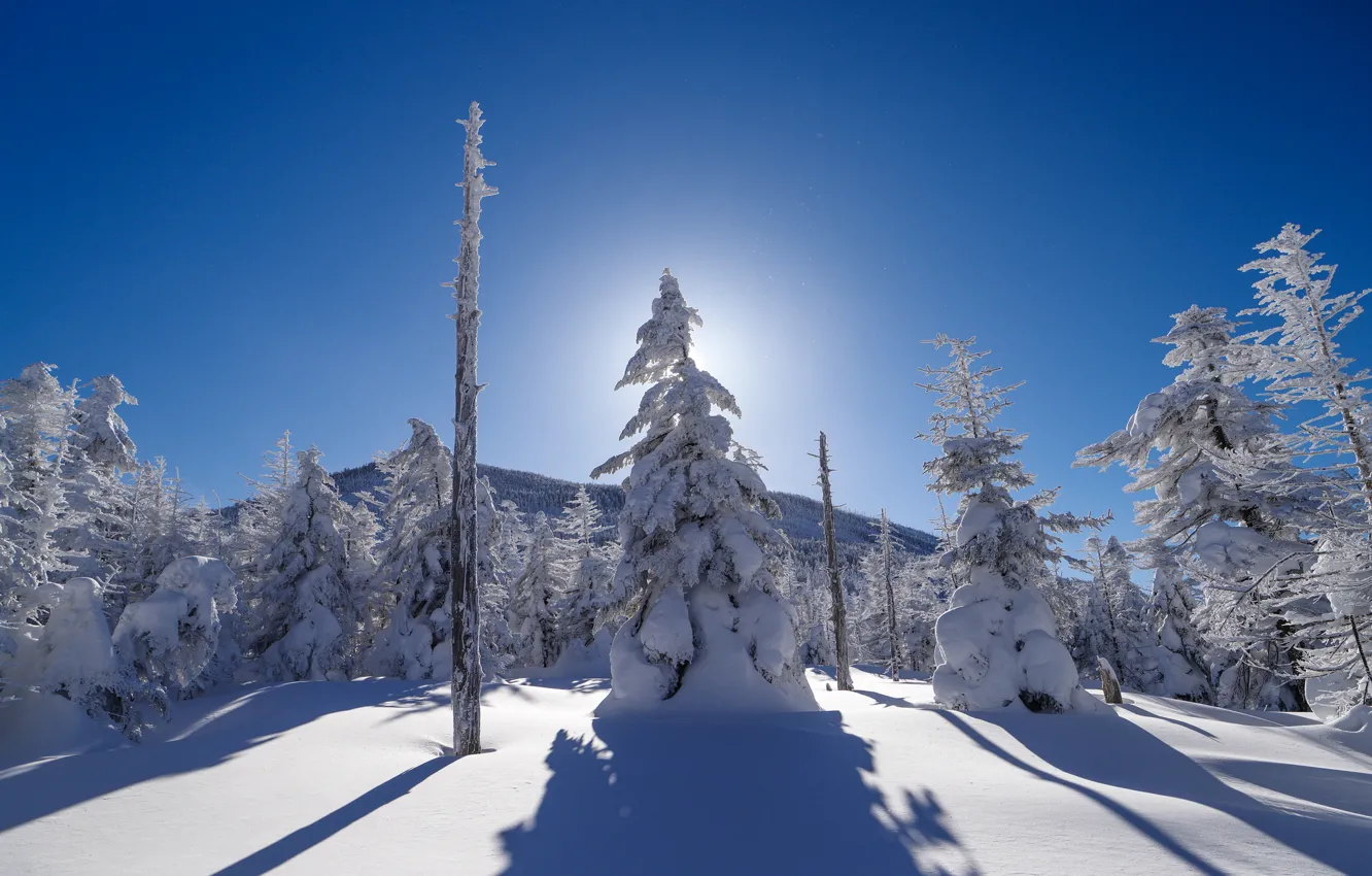 Photo wallpaper winter, the sky, rays, snow, trees, mountains
