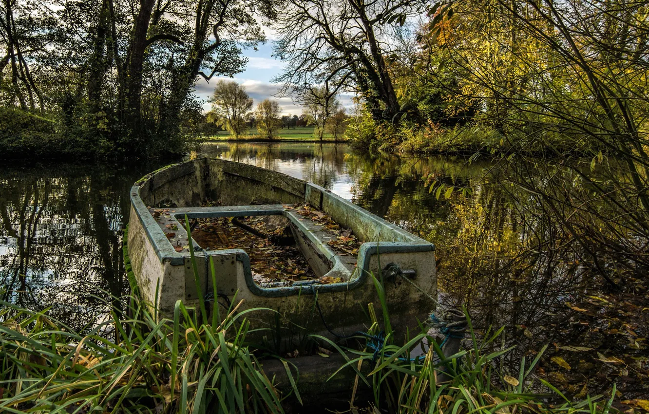 Photo wallpaper forest, lake, boat, England, Northamptonshire