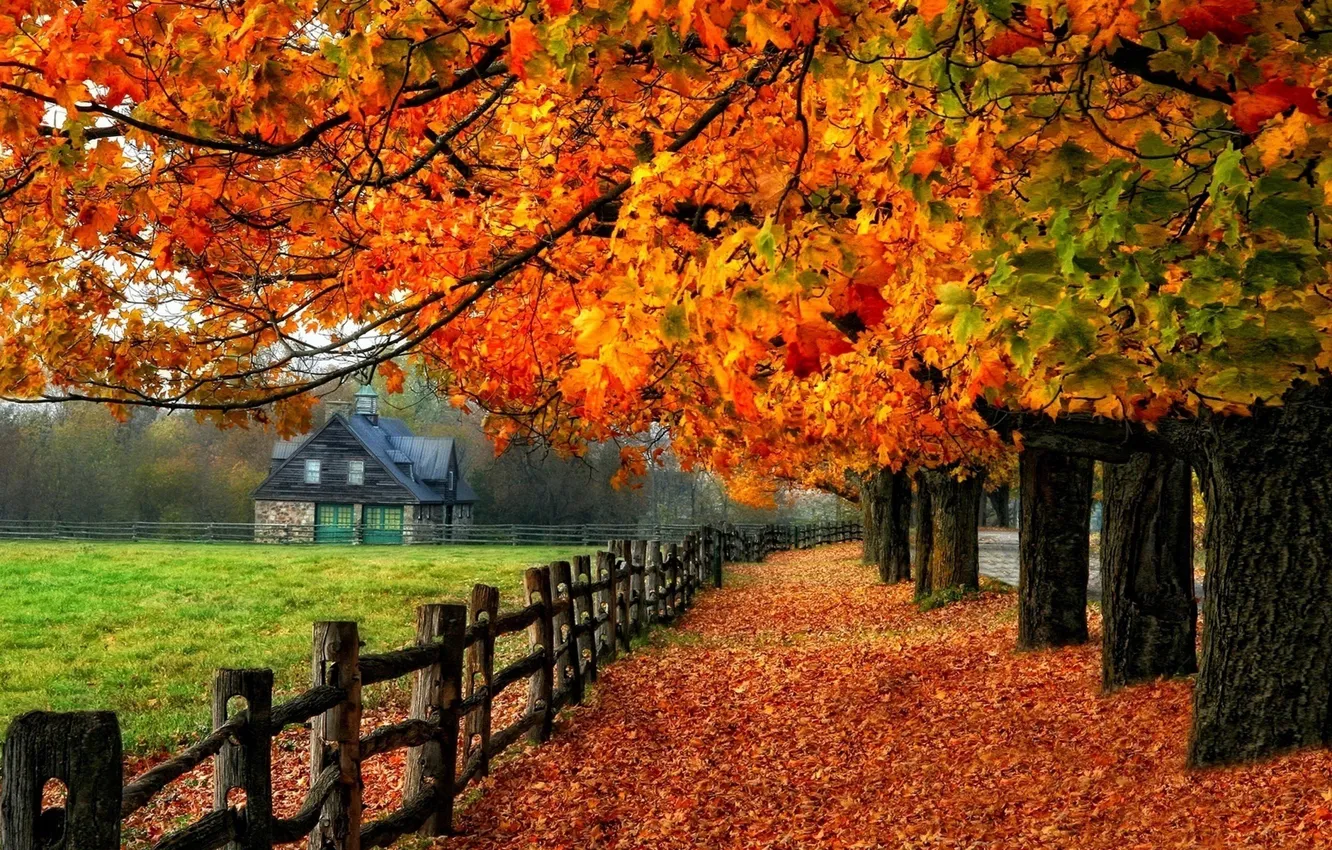 Photo wallpaper autumn, trees, house, falling leaves, fence