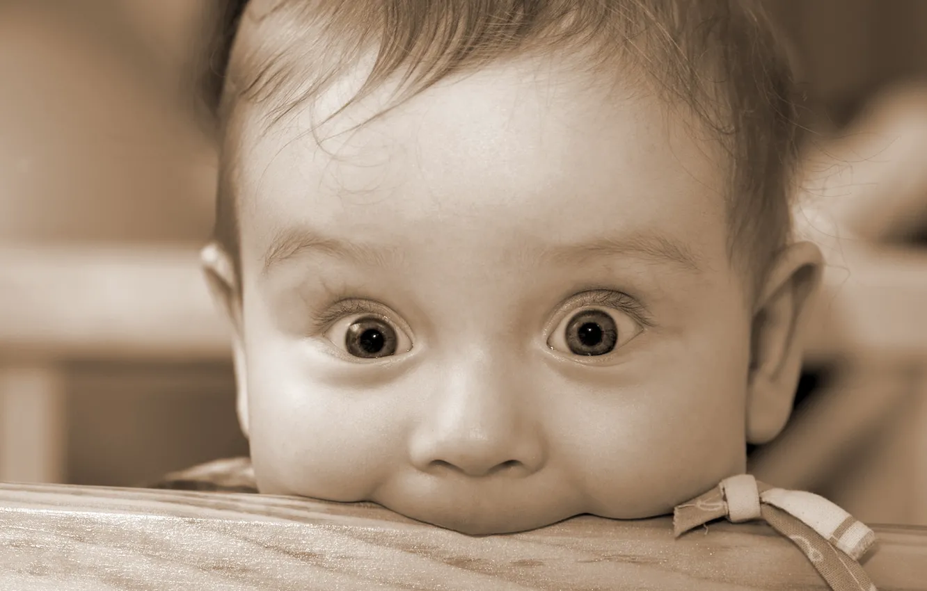 Photo wallpaper look, face, bite, macho, prestolny