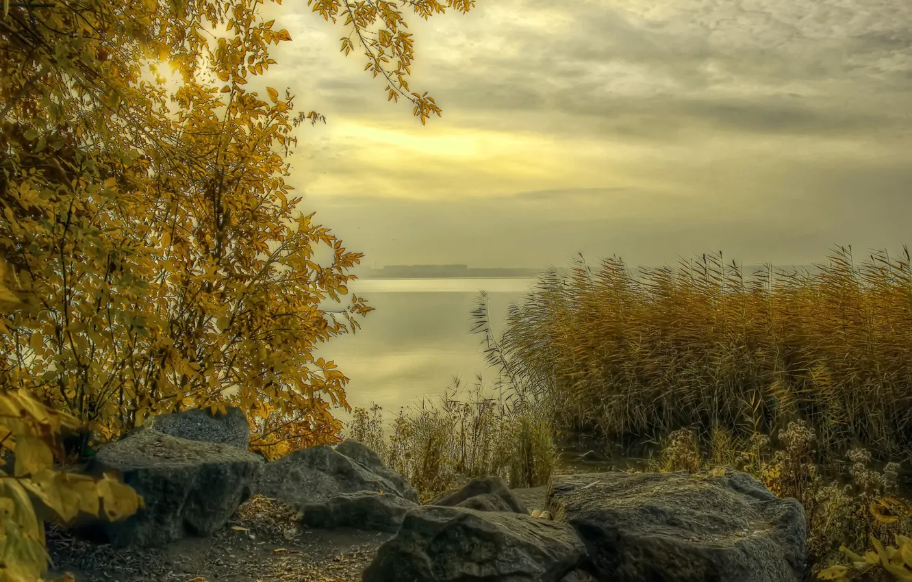 Photo wallpaper autumn, grass, clouds, fog, river, stones, shore, Russia