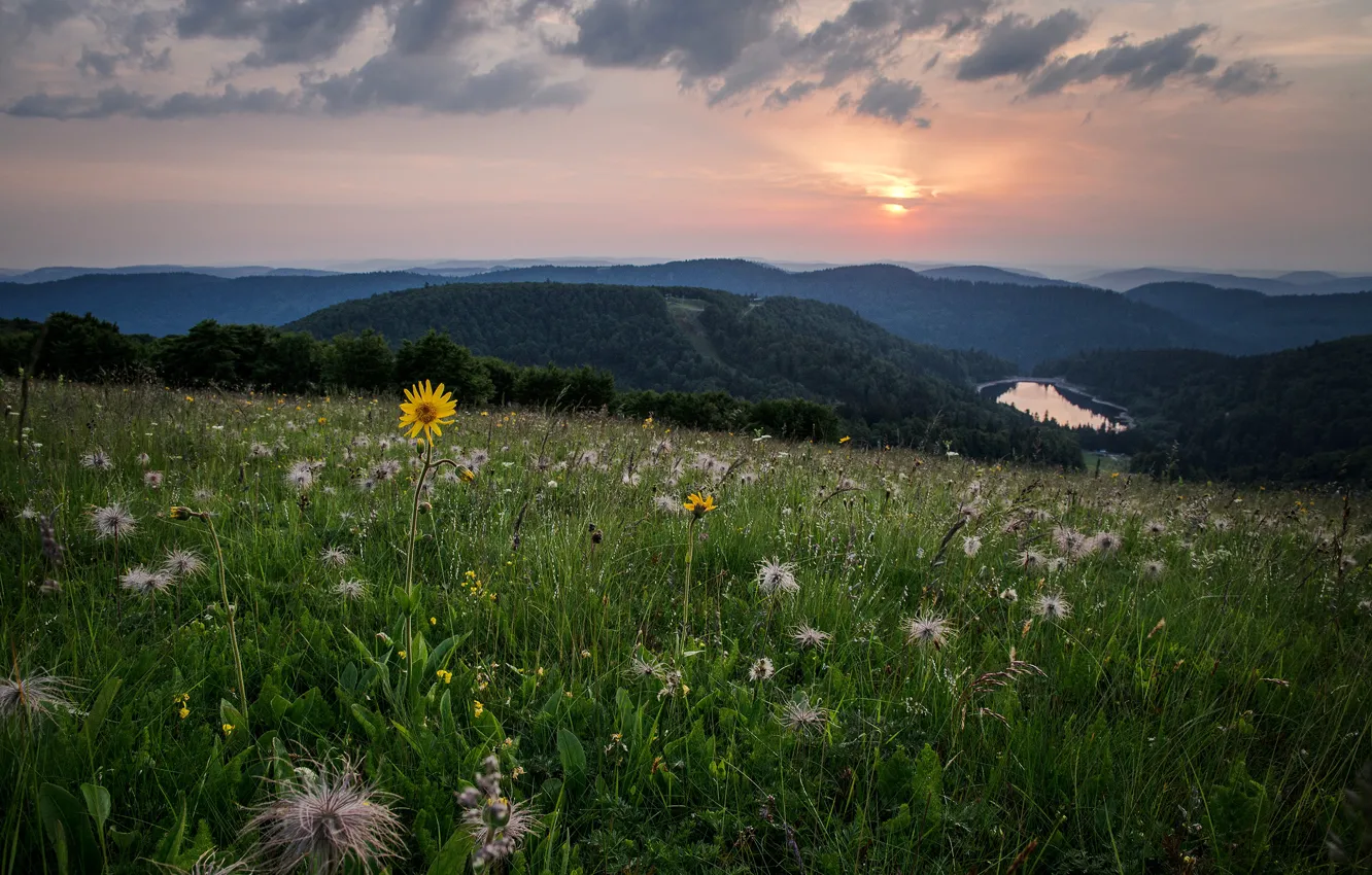 Photo wallpaper summer, the sky, flowers, mountains, hills, meadow