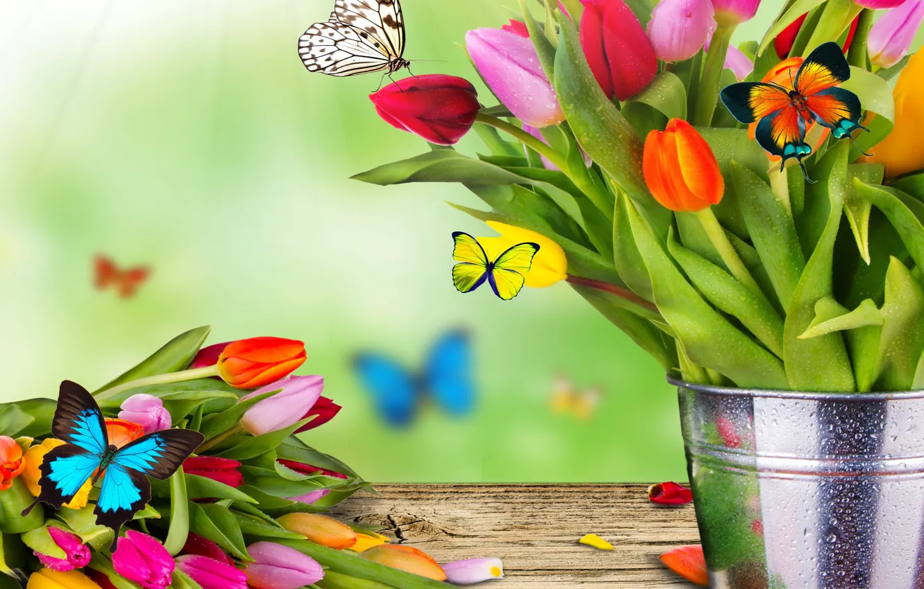Photo wallpaper flowers, collage, butterfly, bouquet, spring, bucket, tulips, moth