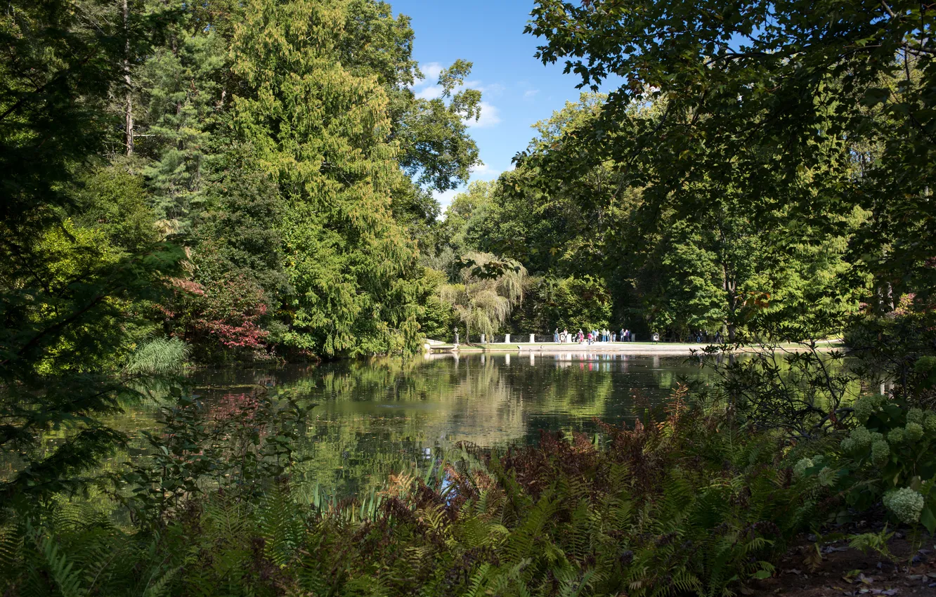 Photo wallpaper greens, trees, pond, Park, USA, Longwood, Kennett Square