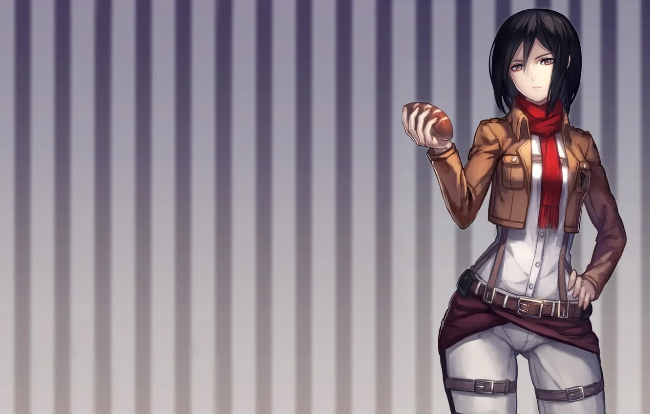 Photo wallpaper invasion, Titan, Mikasa