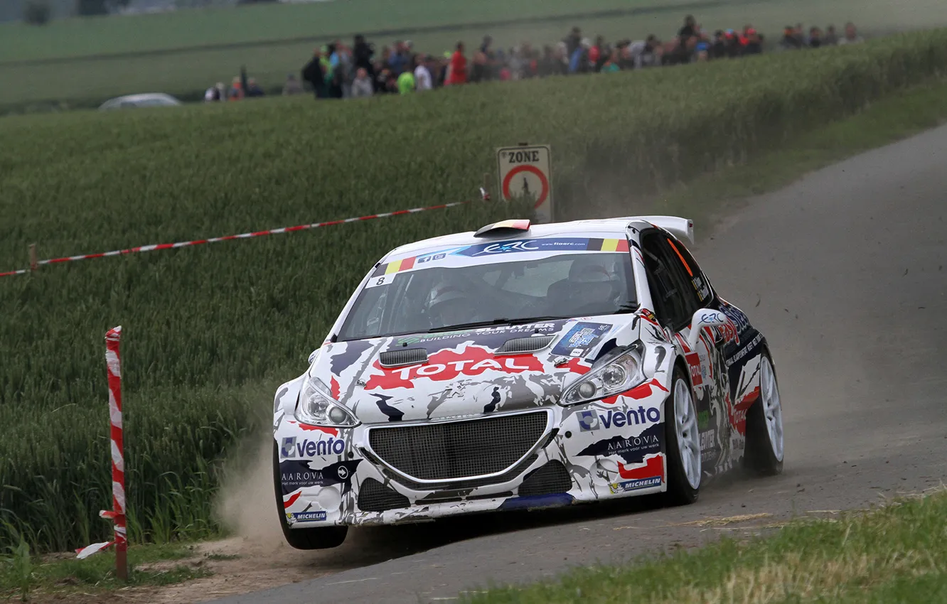 Photo wallpaper Dust, Peugeot, Rally, 208, T16, ERC