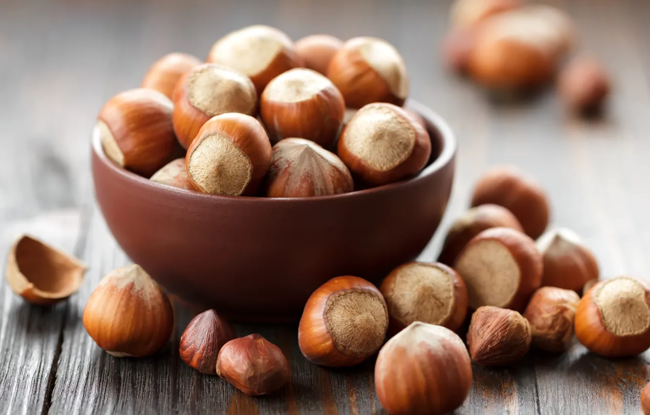 Photo wallpaper placer, hazelnuts, hazelnuts, hazel