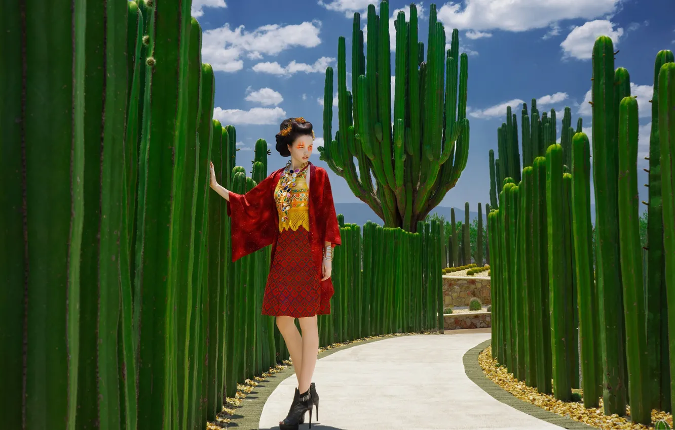 Photo wallpaper model, Japan, cacti, fashion