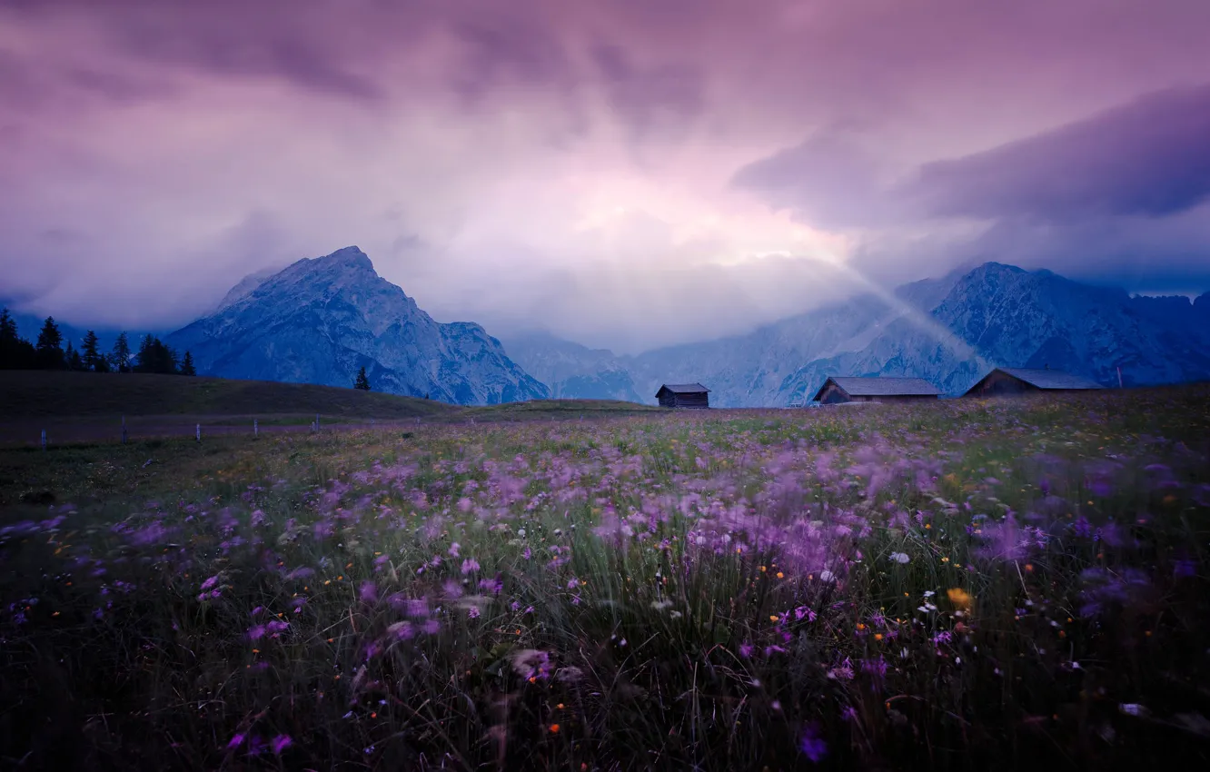 Photo wallpaper field, the sky, light, landscape, flowers, mountains, Meadow, houses