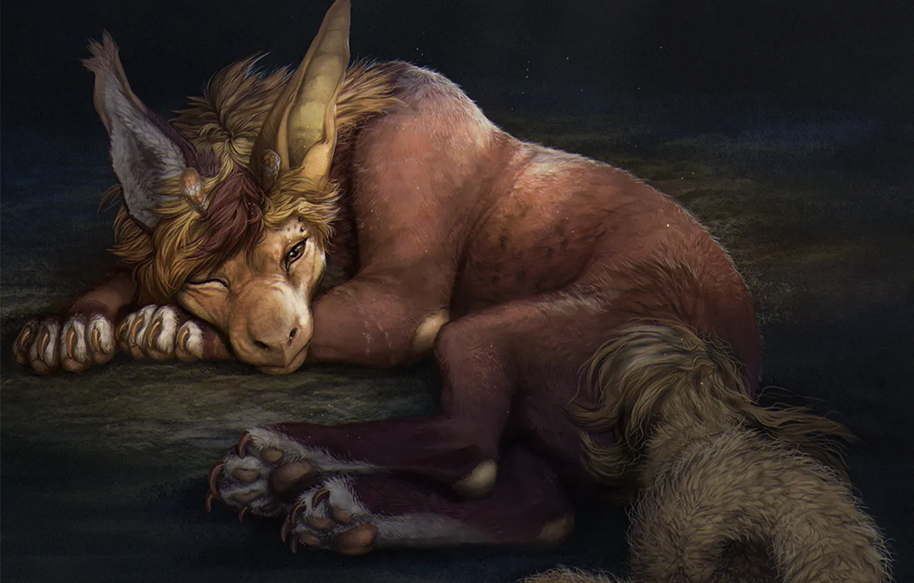 Photo wallpaper animal, mane, lies, a mythical creature, sleep, luxurious tail