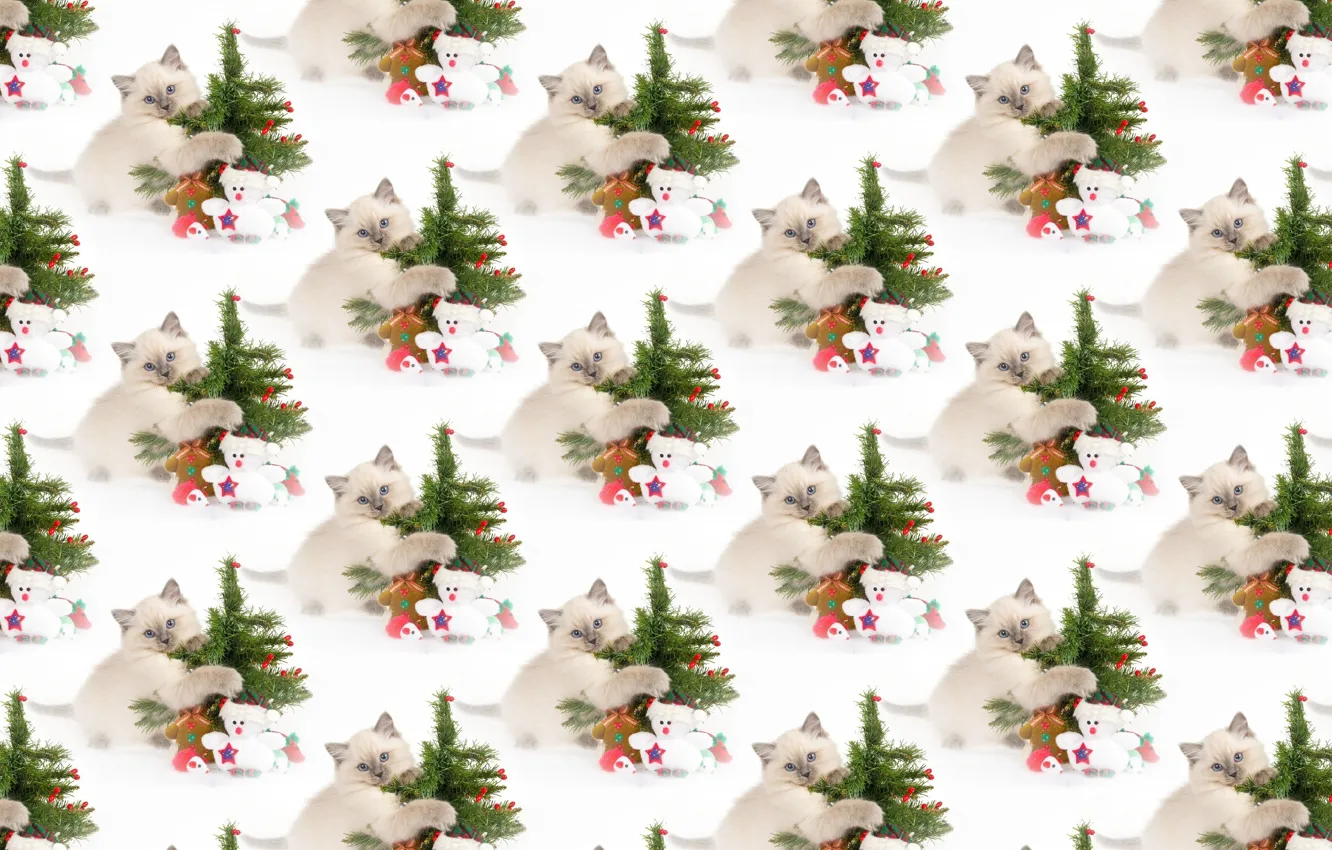 Photo wallpaper background, holiday, texture, New year, kitty, herringbone
