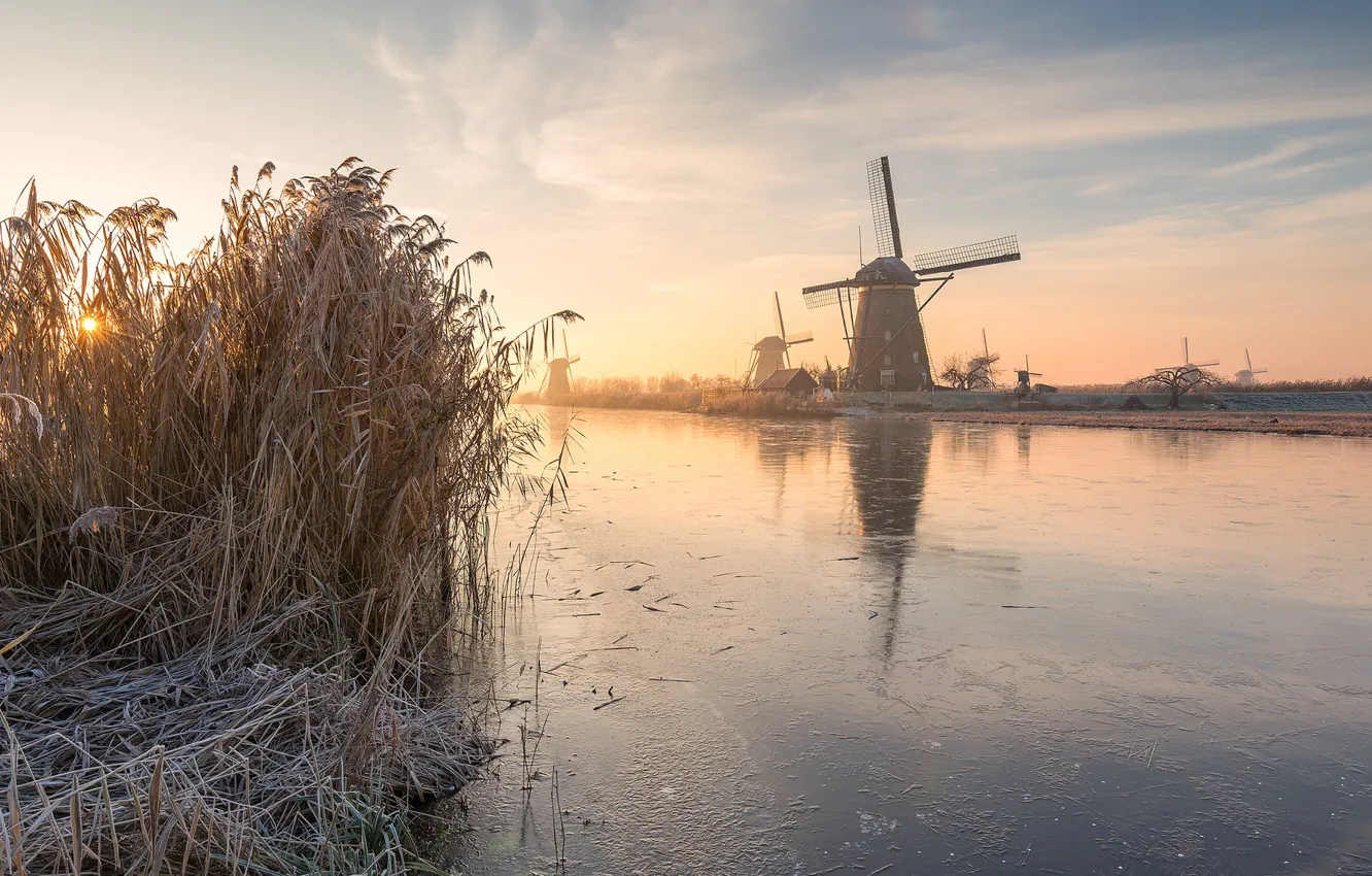 Photo wallpaper frost, river, morning, mill, reed