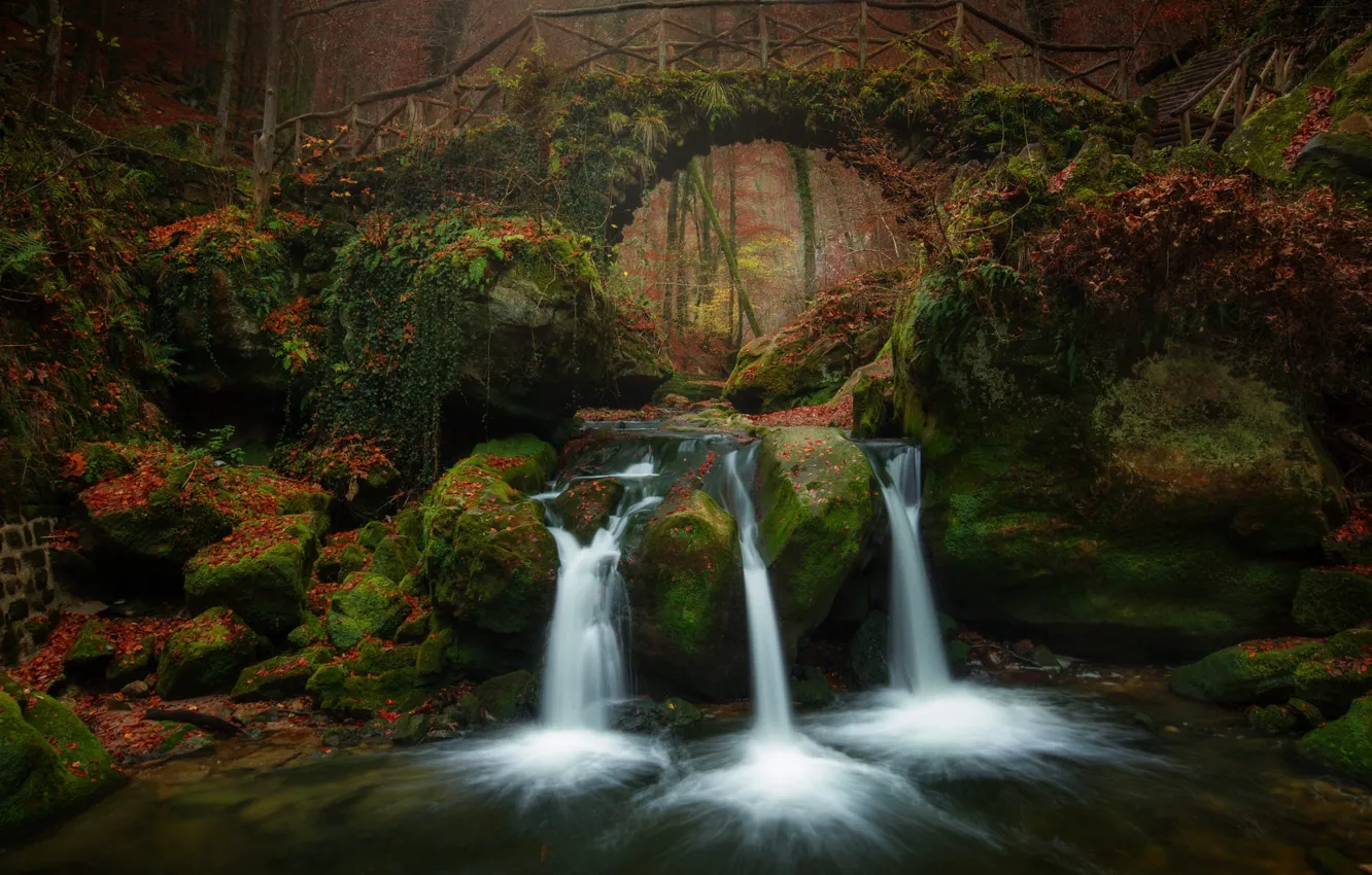 Photo wallpaper autumn, forest, stones, foliage, waterfall, arch, the bridge