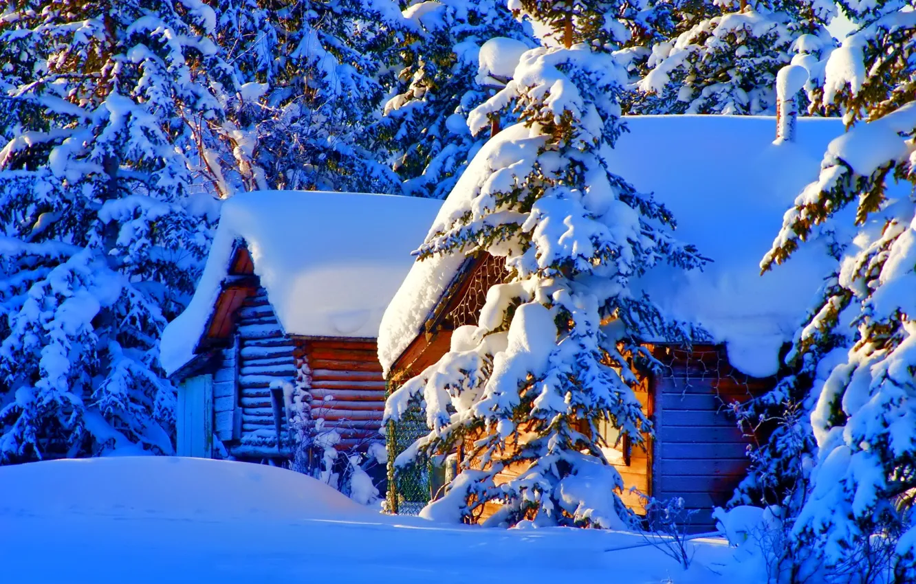 Photo wallpaper forest, trees, landscape, nature, winter, snow, houses, Firs
