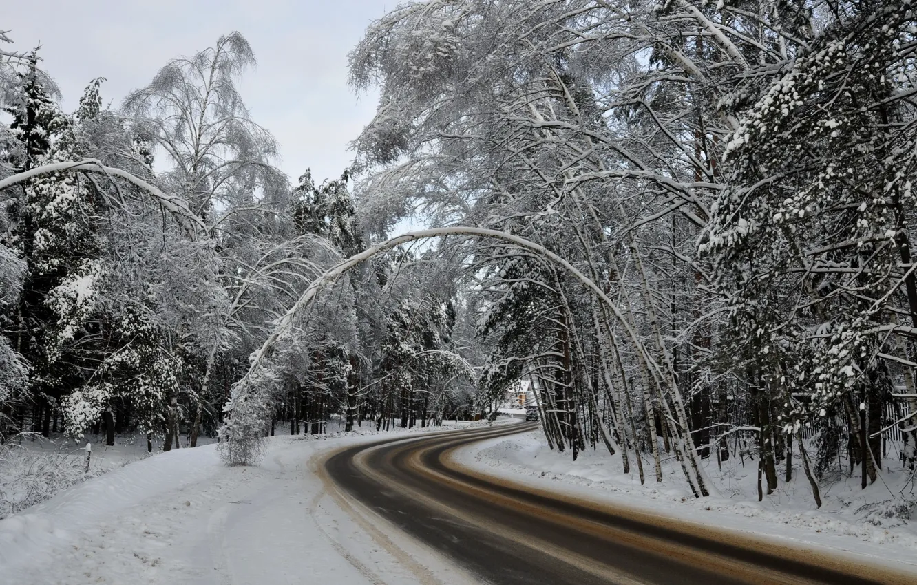 Photo wallpaper winter, road, forest