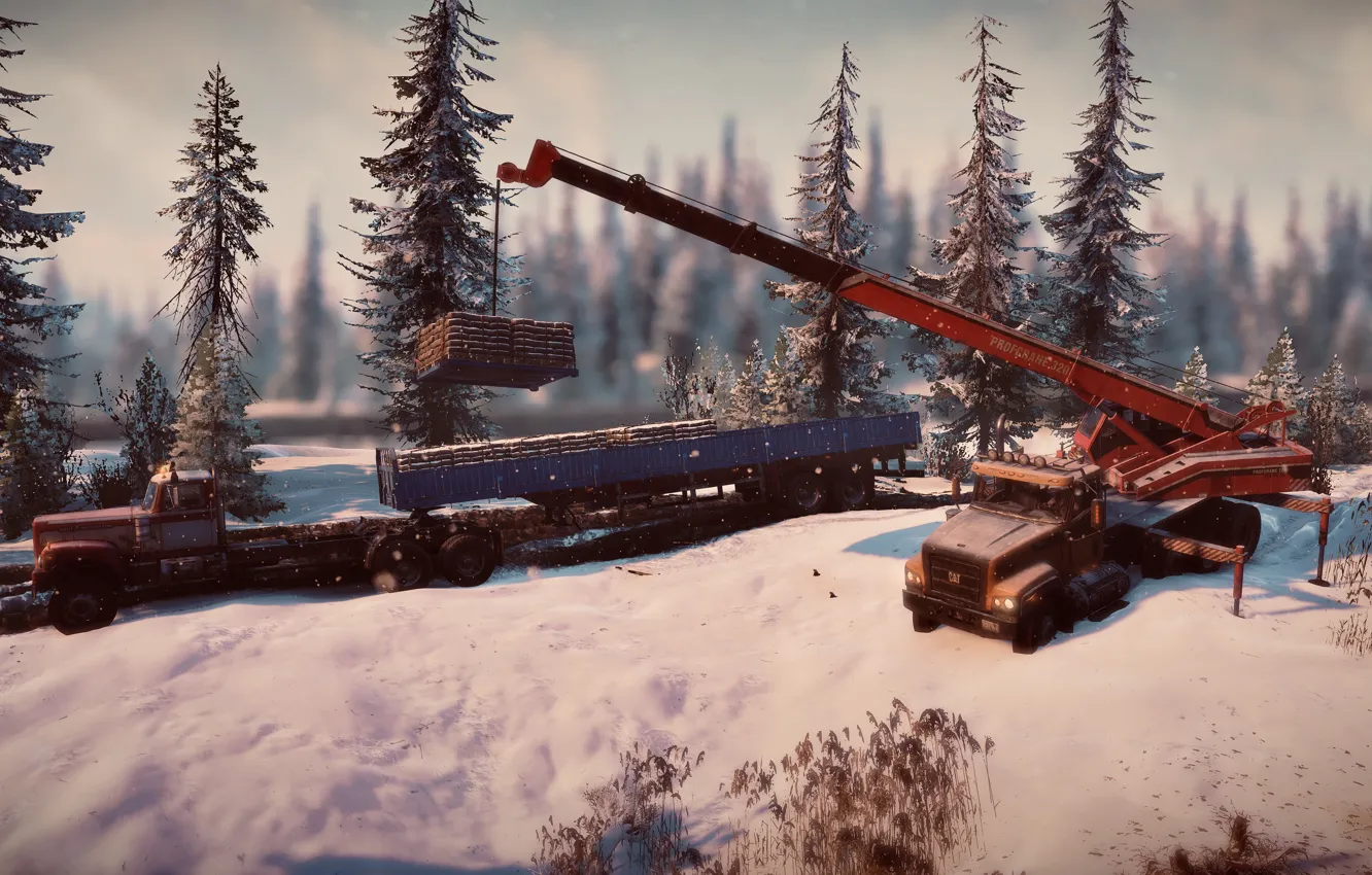 Photo wallpaper HDR, Alaska, game, trees, wood, cat, winter, snow