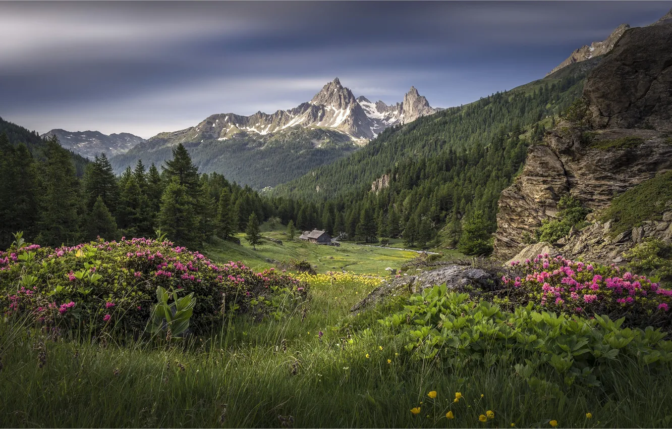 Photo wallpaper mountains, France, Alps, France, Array De SERS, The Hautes-Alpes