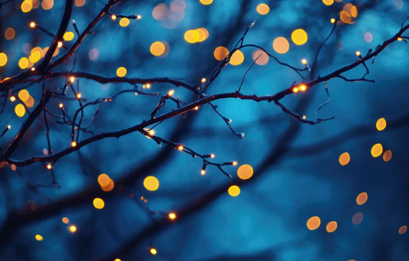 Photo wallpaper winter, light, night, branches, lights, glare, lights, tree