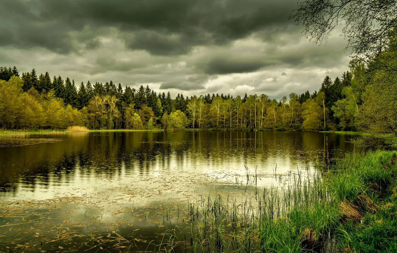 Photo wallpaper autumn, forest, grass, branches, clouds, lake, reflection, overcast