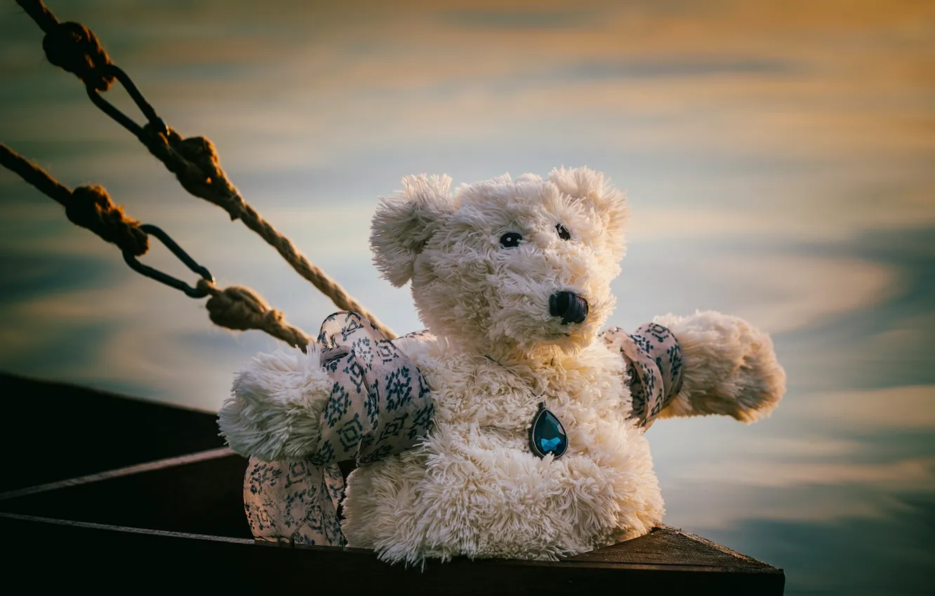 Photo wallpaper toy, bear, pendant, Titanic, ropes, Teddy bear