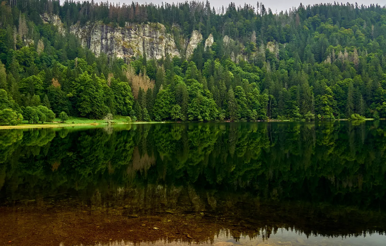 Photo wallpaper greens, forest, summer, water, trees, mountains, lake, reflection