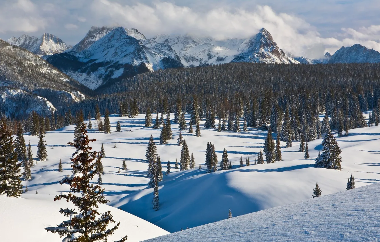 Photo wallpaper trees, winter, mountains, clouds, snow