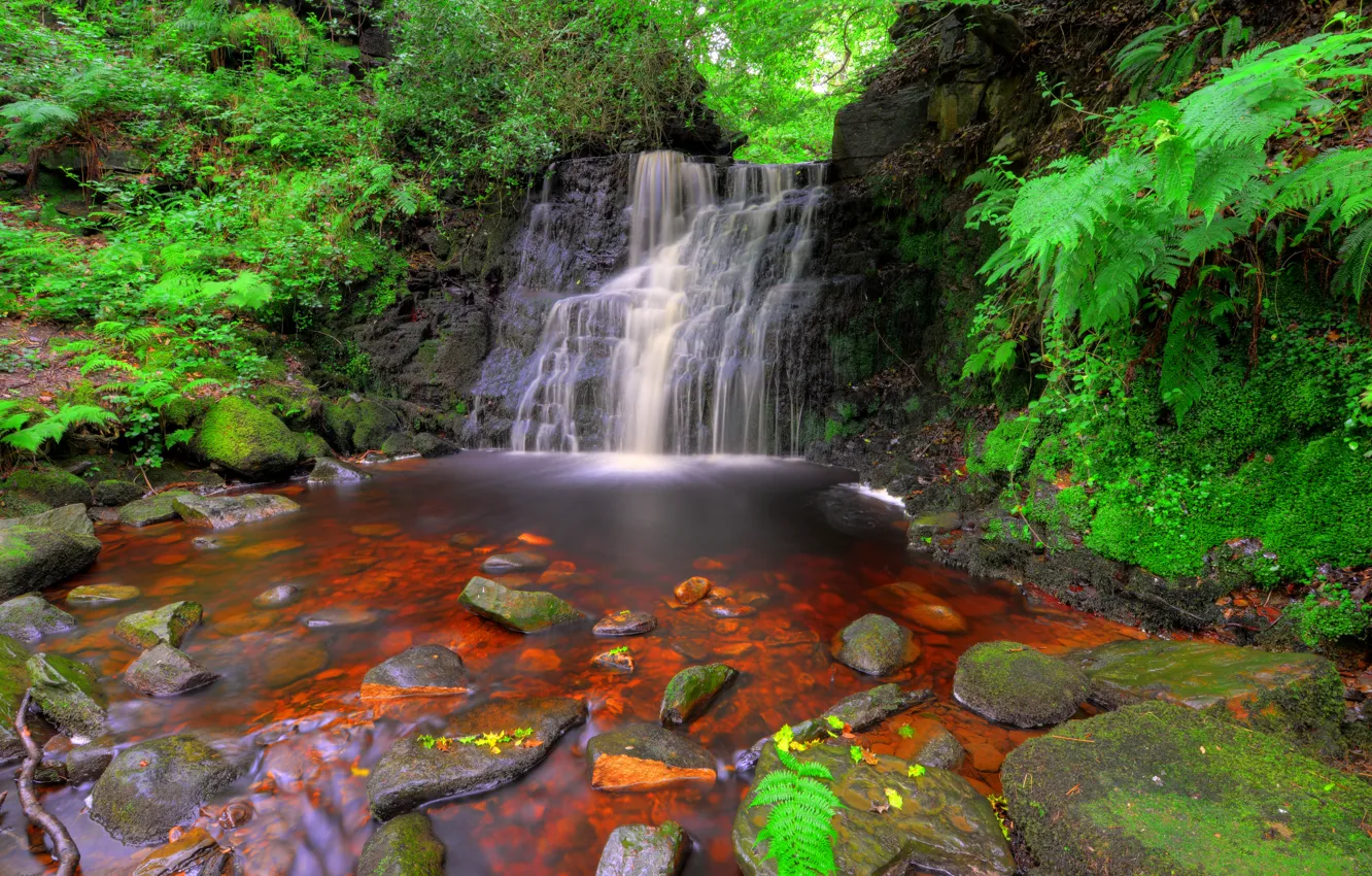 Photo wallpaper forest, stream, stones, England, waterfall, moss, the bushes, Rivington