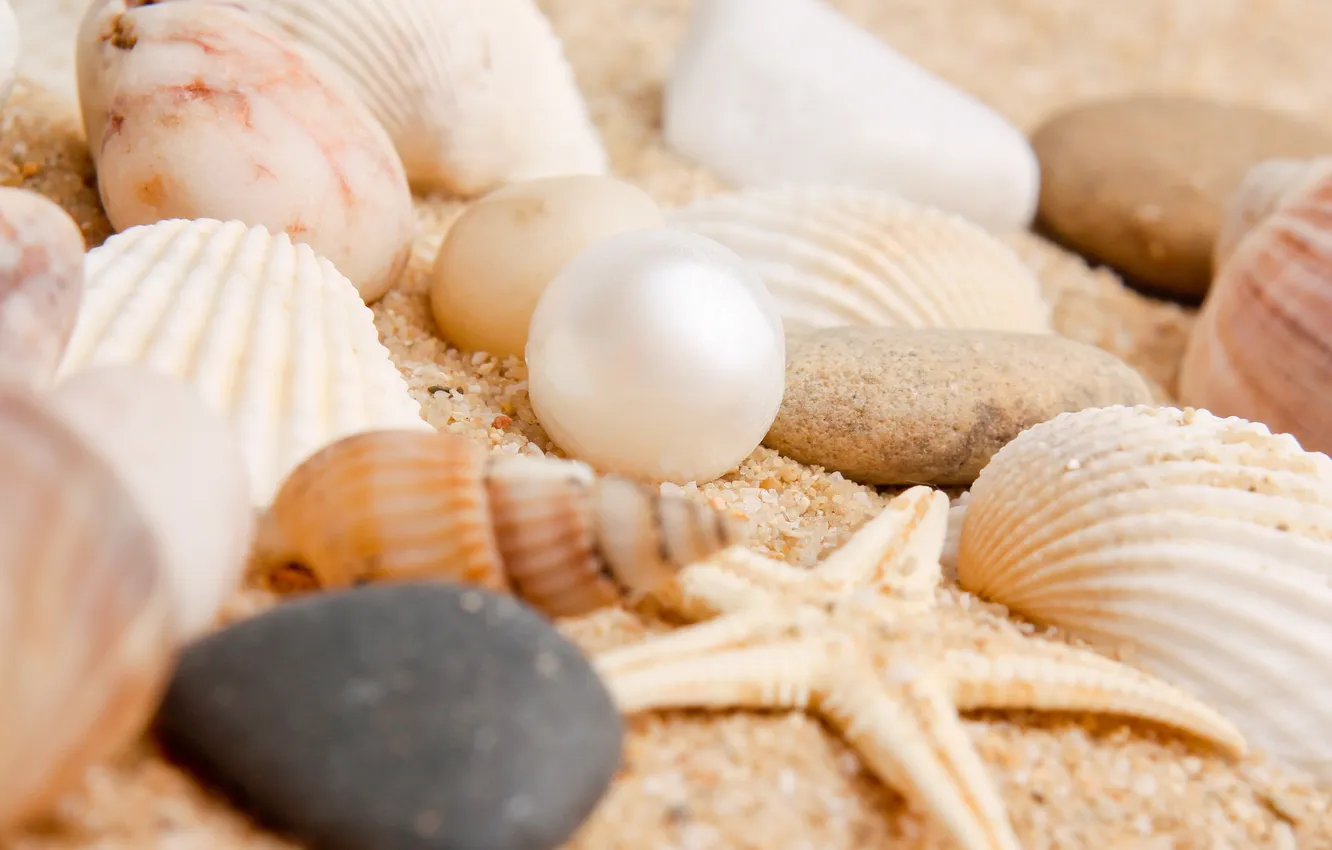 Photo wallpaper sand, beach, stars, shell, pebbles, pearl