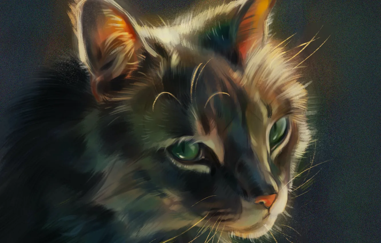 Photo wallpaper muzzle, green eyes, grey cat, by Pixxus