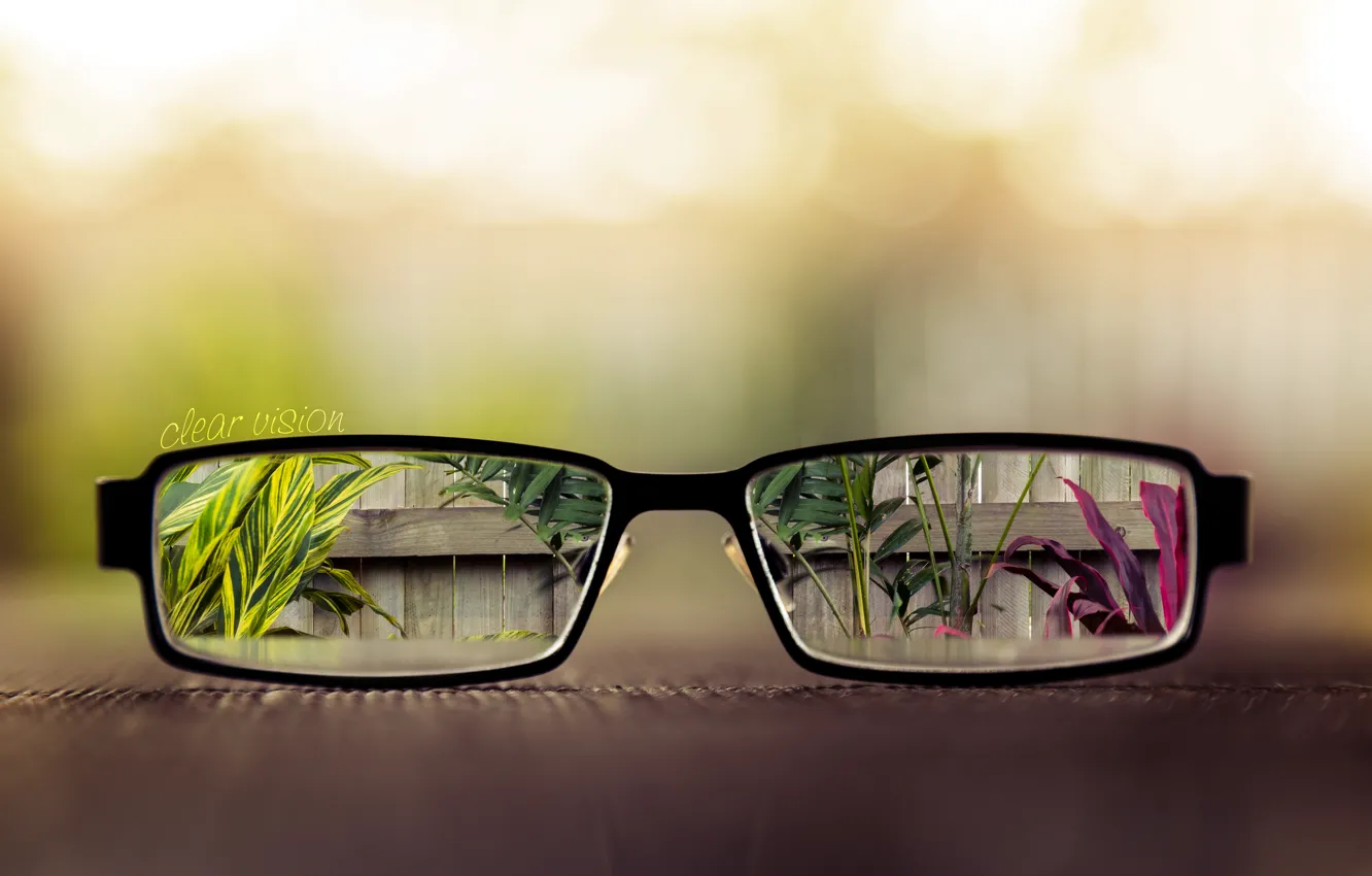 Photo wallpaper leaves, table, the fence, plants, glasses, lenses, vases, clear vision