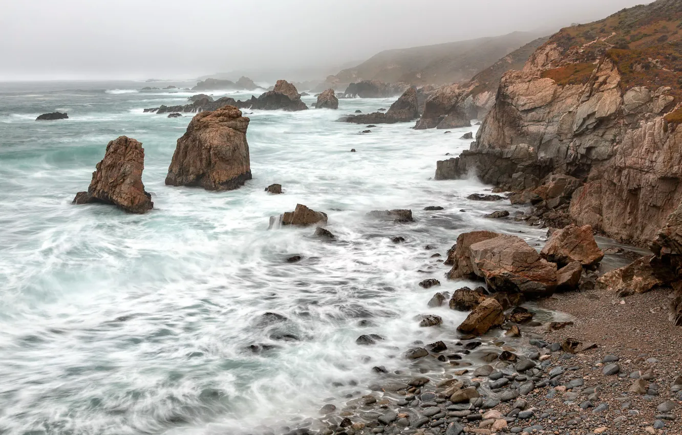 Photo wallpaper California, Big Sur, Tick