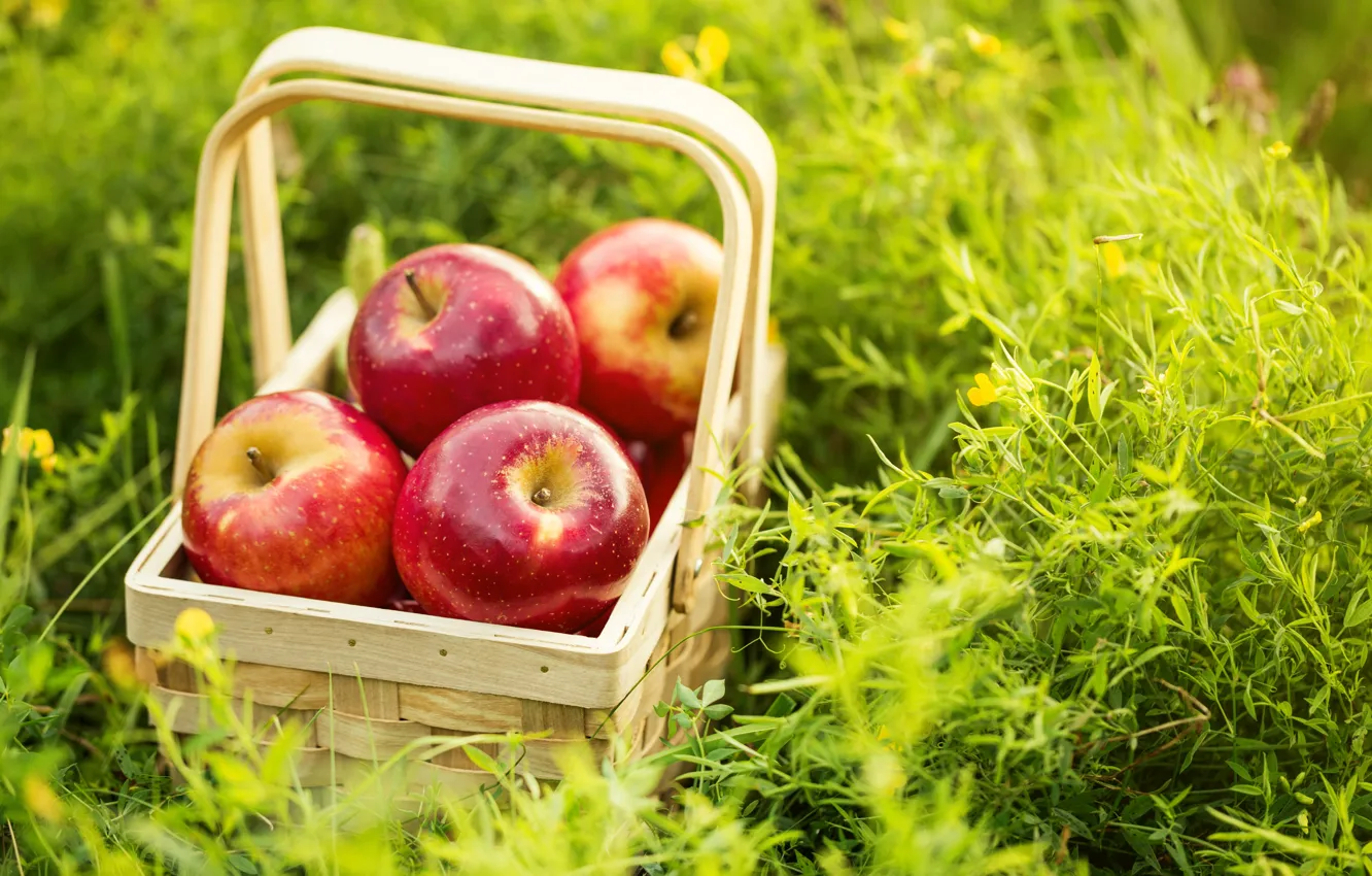Photo wallpaper summer, grass, basket, apples, fruit, apples
