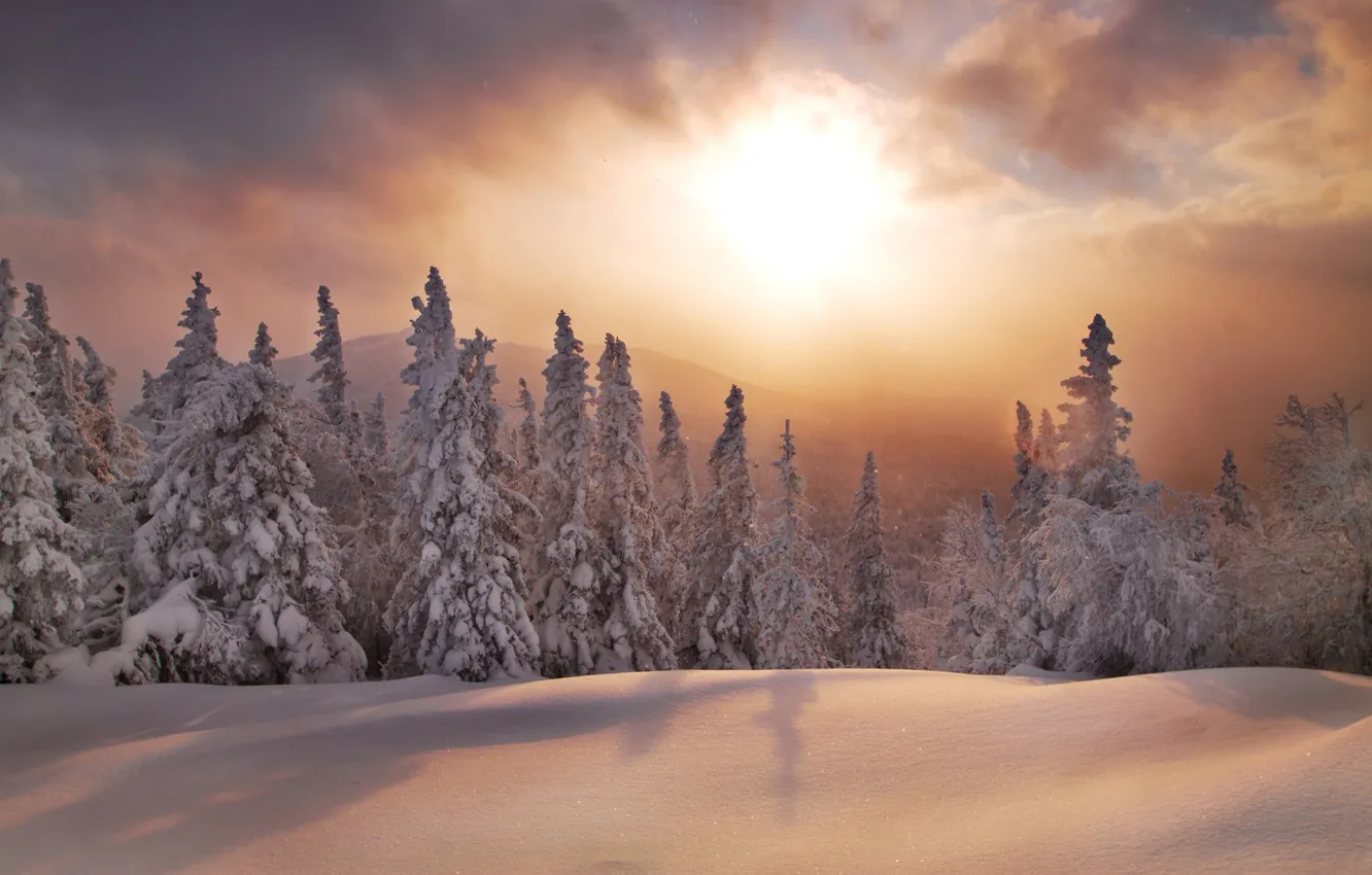 Photo wallpaper winter, forest, snow, sunset, ate, the snow, Russia, South Ural
