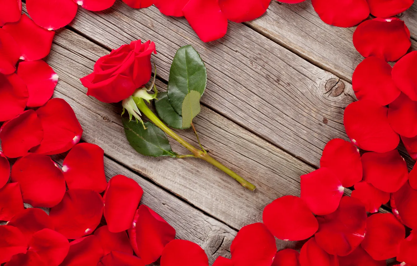 Photo wallpaper love, flowers, gift, romance, heart, roses, petals, love