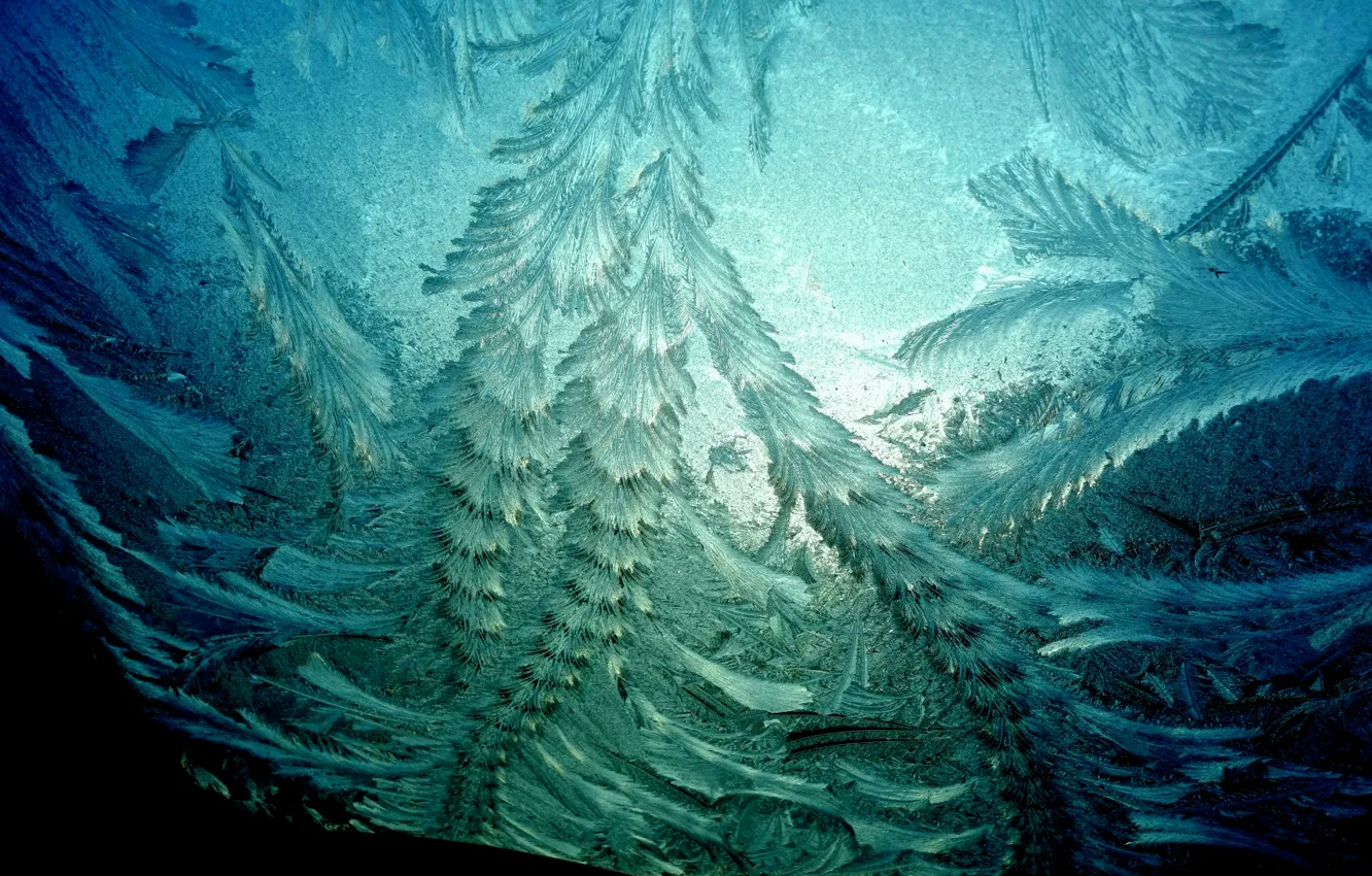 Photo wallpaper cold, winter, background, pattern